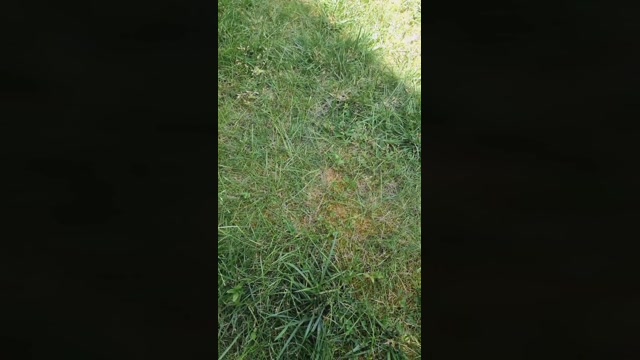 Outdoorgeil1  25-06-2022